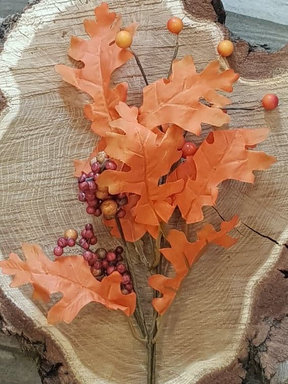 Podzimní větvička-bobule
