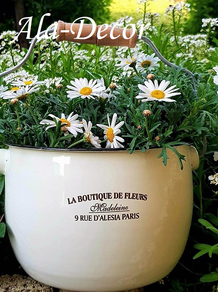 Kyblík s rukojetí  La Boutique de Fleurs-v.1.
